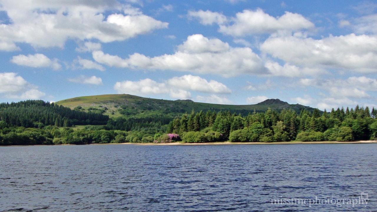 Dartmoor Reach Alpaca Farm Heated Cabins 5 Mins Drive To Dartmoor Bovey Tracey Zewnętrze zdjęcie