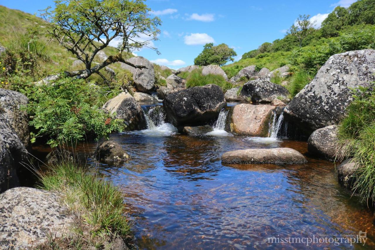 Dartmoor Reach Alpaca Farm Heated Cabins 5 Mins Drive To Dartmoor Bovey Tracey Zewnętrze zdjęcie