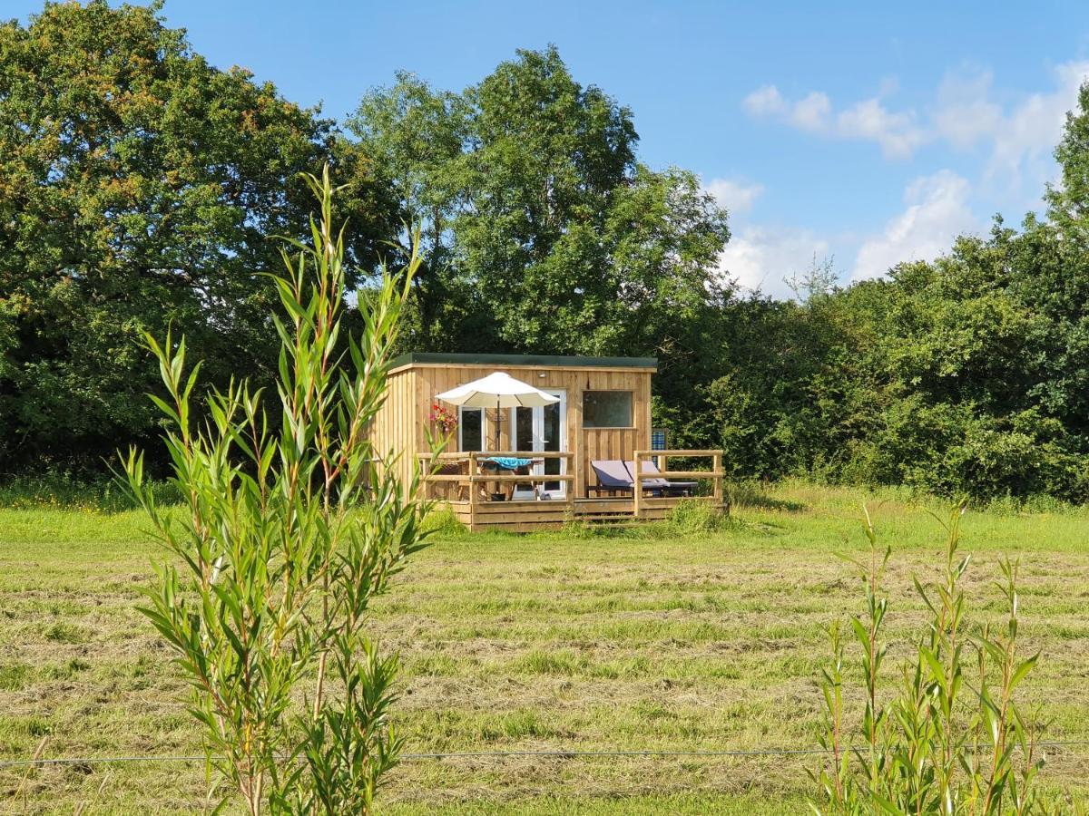 Dartmoor Reach Alpaca Farm Heated Cabins 5 Mins Drive To Dartmoor Bovey Tracey Zewnętrze zdjęcie