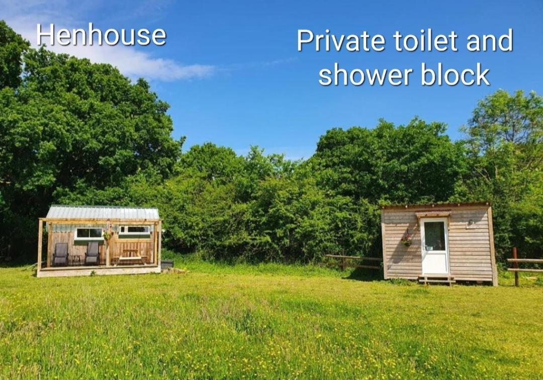 Dartmoor Reach Alpaca Farm Heated Cabins 5 Mins Drive To Dartmoor Bovey Tracey Pokój zdjęcie