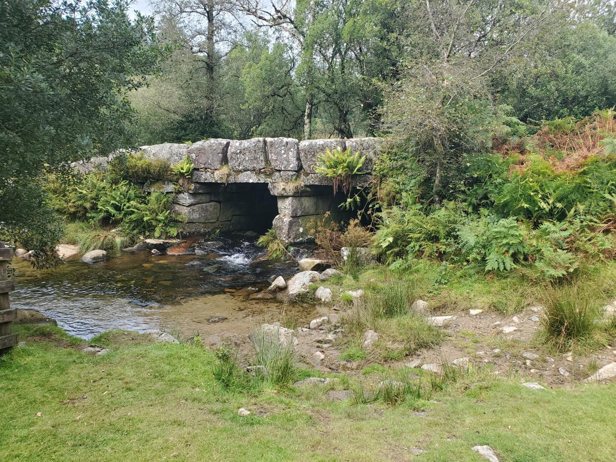 Dartmoor Reach Alpaca Farm Heated Cabins 5 Mins Drive To Dartmoor Bovey Tracey Zewnętrze zdjęcie