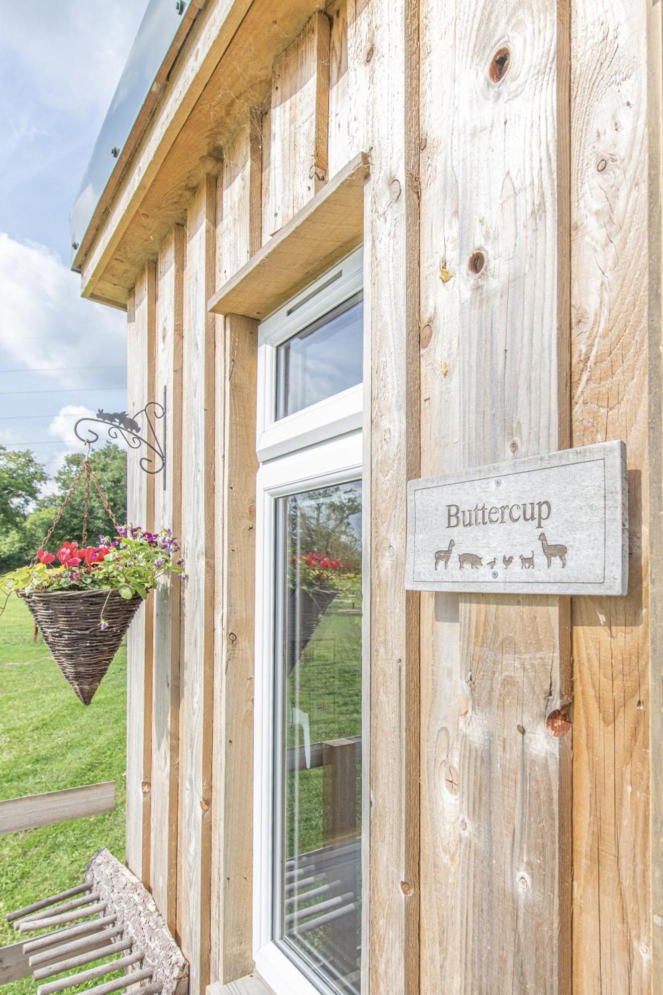 Dartmoor Reach Alpaca Farm Heated Cabins 5 Mins Drive To Dartmoor Bovey Tracey Pokój zdjęcie